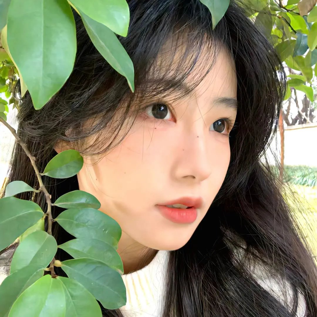 一树桃花开